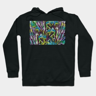 Cholla Forest Hoodie